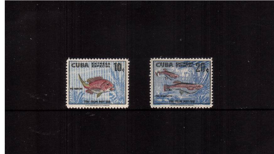 Poey Commemoration<br/>
SPECIAL DELIVERY Fish stamps superb unmounted mint.<br/><b>QAQ</b>