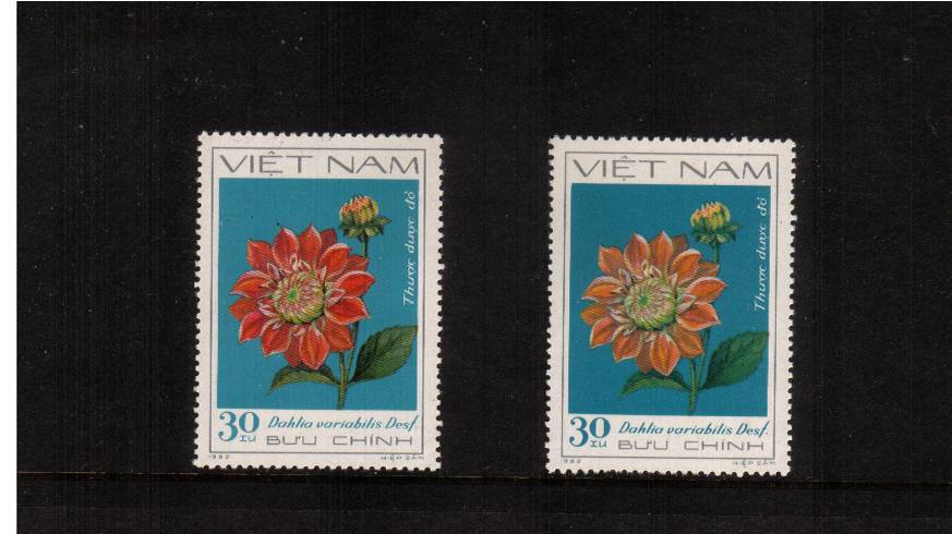 30x Red Dahlia showing missing RED with normal for comparison with no gum as issued.