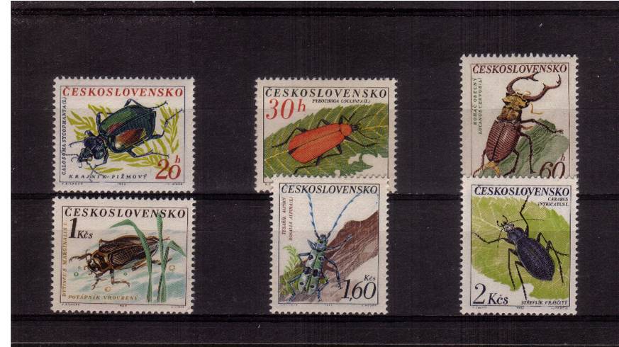 Beetles set of six superb unmounted mint.<br/>SG Cat £22